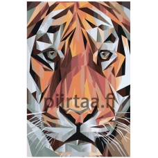 Maalaa numeroilla RA376