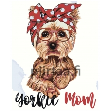 Maalaa numeroilla RA378