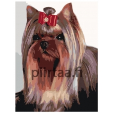 Maalaa numeroilla RA42