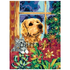 Maalaa numeroilla RA43