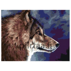 Maalaa numeroilla RA44