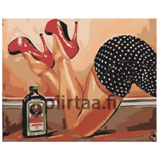 Maalaa numeroilla RO100