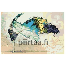 Maalaa numeroilla RO112