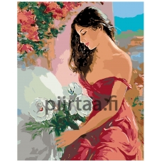 Maalaa numeroilla RO115