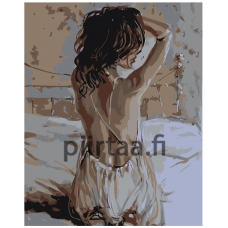 Maalaa numeroilla RO145