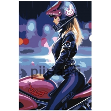 Maalaa numeroilla RO148