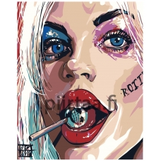 Maalaa numeroilla RO149