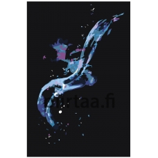 Maalaa numeroilla RO175