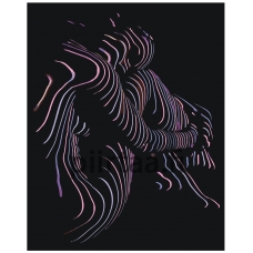 Maalaa numeroilla RO195