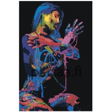 Maalaa numeroilla RO204