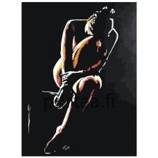 Maalaa numeroilla RO212