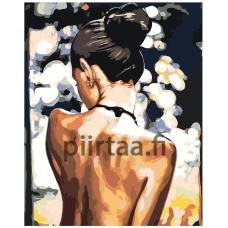 Maalaa numeroilla RO236