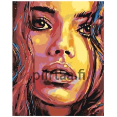 Maalaa numeroilla RO237