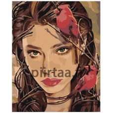 Maalaa numeroilla RO249