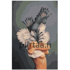 Maalaa numeroilla RO259