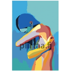 Maalaa numeroilla RO266