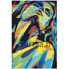 Maalaa numeroilla RO272