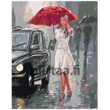 Maalaa numeroilla RO89