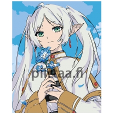 Maalaa numeroilla ROOM-ARTANM27