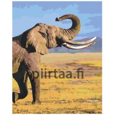 Maalaa numeroilla ROOM-INDSL01