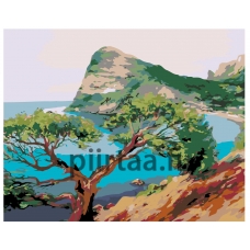 Maalaa numeroilla RUS012