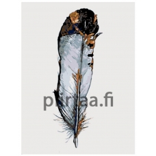 Maalaa numeroilla TSVT-PERO1