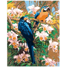 Maalaa numeroilla W355