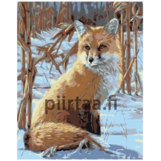 Maalaa numeroilla W360