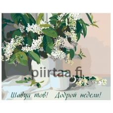 Maalaa numeroilla Z-1011001062