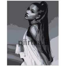 Maalaa numeroilla Z-AB100