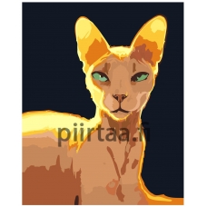 Maalaa numeroilla Z-AB135