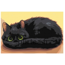 Maalaa numeroilla Z-AB149