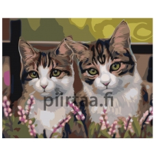 Maalaa numeroilla Z-AB16