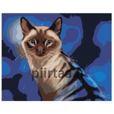 Maalaa numeroilla Z-AB17