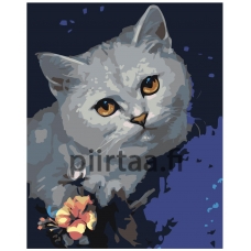 Maalaa numeroilla Z-AB197