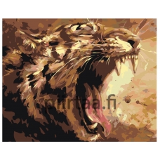 Maalaa numeroilla Z-AB198