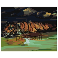 Maalaa numeroilla Z-AB201