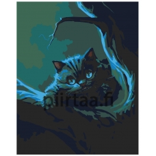 Maalaa numeroilla Z-AB209