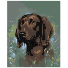 Maalaa numeroilla Z-AB210