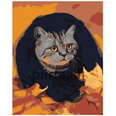 Maalaa numeroilla Z-AB211