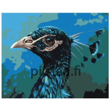 Maalaa numeroilla Z-AB212