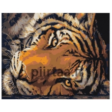 Maalaa numeroilla Z-AB213