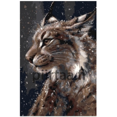 Maalaa numeroilla Z-AB219