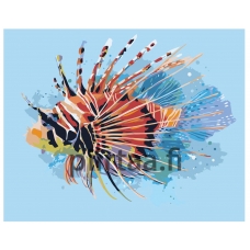 Maalaa numeroilla Z-AB226