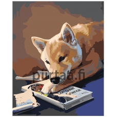 Maalaa numeroilla Z-AB230