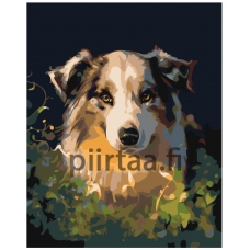 Maalaa numeroilla Z-AB231