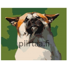 Maalaa numeroilla Z-AB233