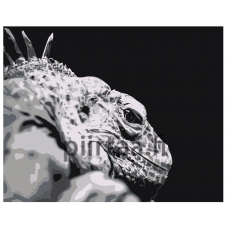 Maalaa numeroilla Z-AB235