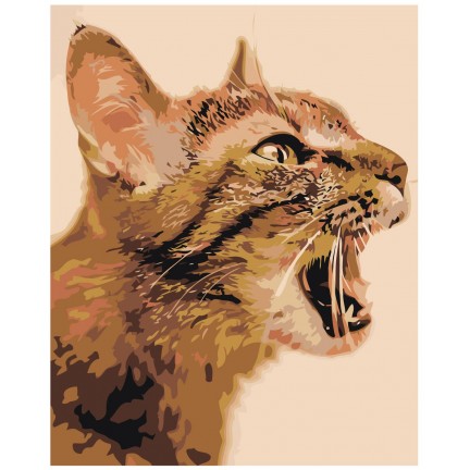 Maalaa numeroilla Z-AB237 Maalaa numeroilla Z-AB237