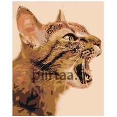 Maalaa numeroilla Z-AB237